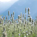 8 Grappoli Agritur Κατάλυμα σε φάρμα Τρέντο