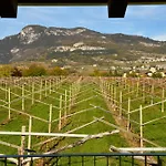 Κατάλυμα σε φάρμα 8 Grappoli Agritur Τρέντο