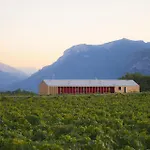 8 Grappoli Agritur *
