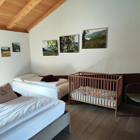 8 Grappoli Agritur Trento