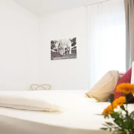 8 Grappoli Agritur *