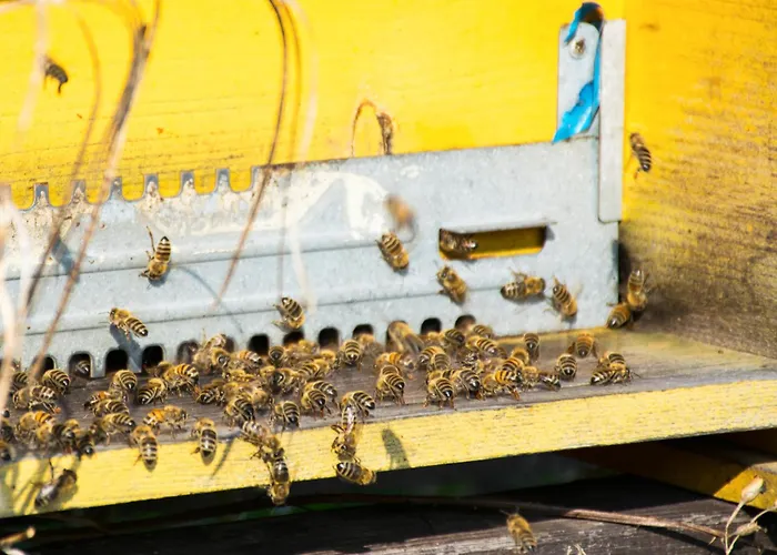 8 Grappoli Agritur Alloggio per agriturismo