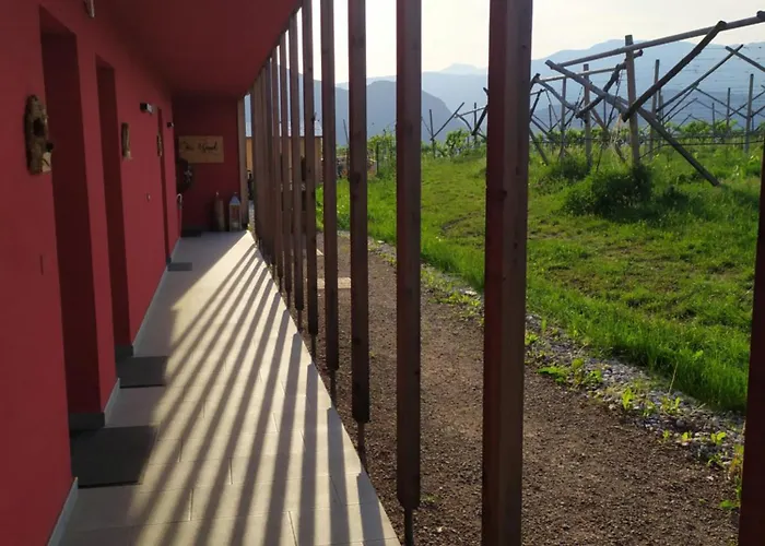 בית חווה 8 Grappoli Agritur