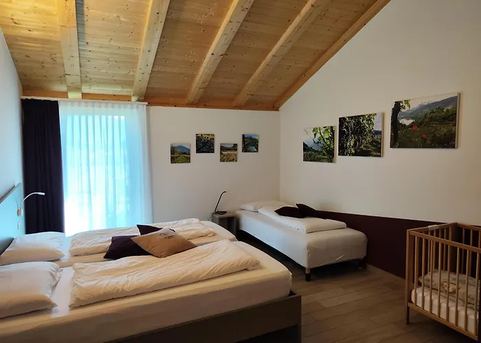 8 Grappoli Agritur בית חווה *