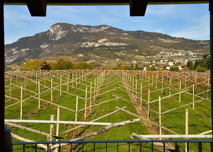 Alloggio per agriturismo 8 Grappoli Agritur Trento