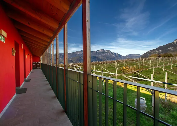 8 Grappoli Agritur *