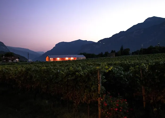 8 Grappoli Agritur *